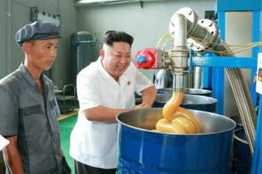 金正恩視察天池潤滑油廠 贊其產(chǎn)品不亞于進口貨